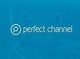 Perfect Channel Testimonial for Synapri